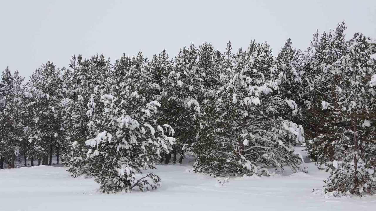 Sibirya soğukları kent yaşamını aksattı: Gece sıcaklığı eksi 21,8 derece
