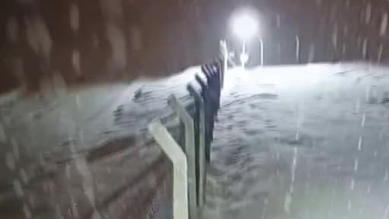 Siirt'in Kurtalan ilçesinde kar yağışıyla köye inen kurt güvenlik kamerasına yansıdı