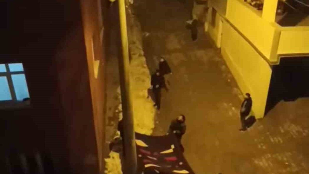 Siirt'te elektrik direğinde mahsur kalan kedi, mahallelinin battaniye açmasıyla kurtarıldı