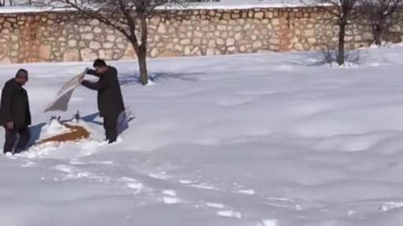 Siirt’te yaban hayvanları için 700 kilo yem doğaya bırakıldı