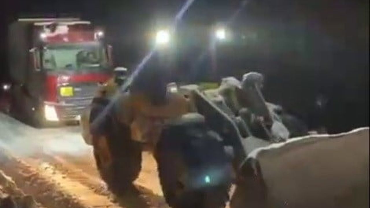 Sincik’te Yoğun Kar Nedeniyle Mahsur Kalan CNG Yüklü Tır, Belediye Ekiplerince Kurtarıldı