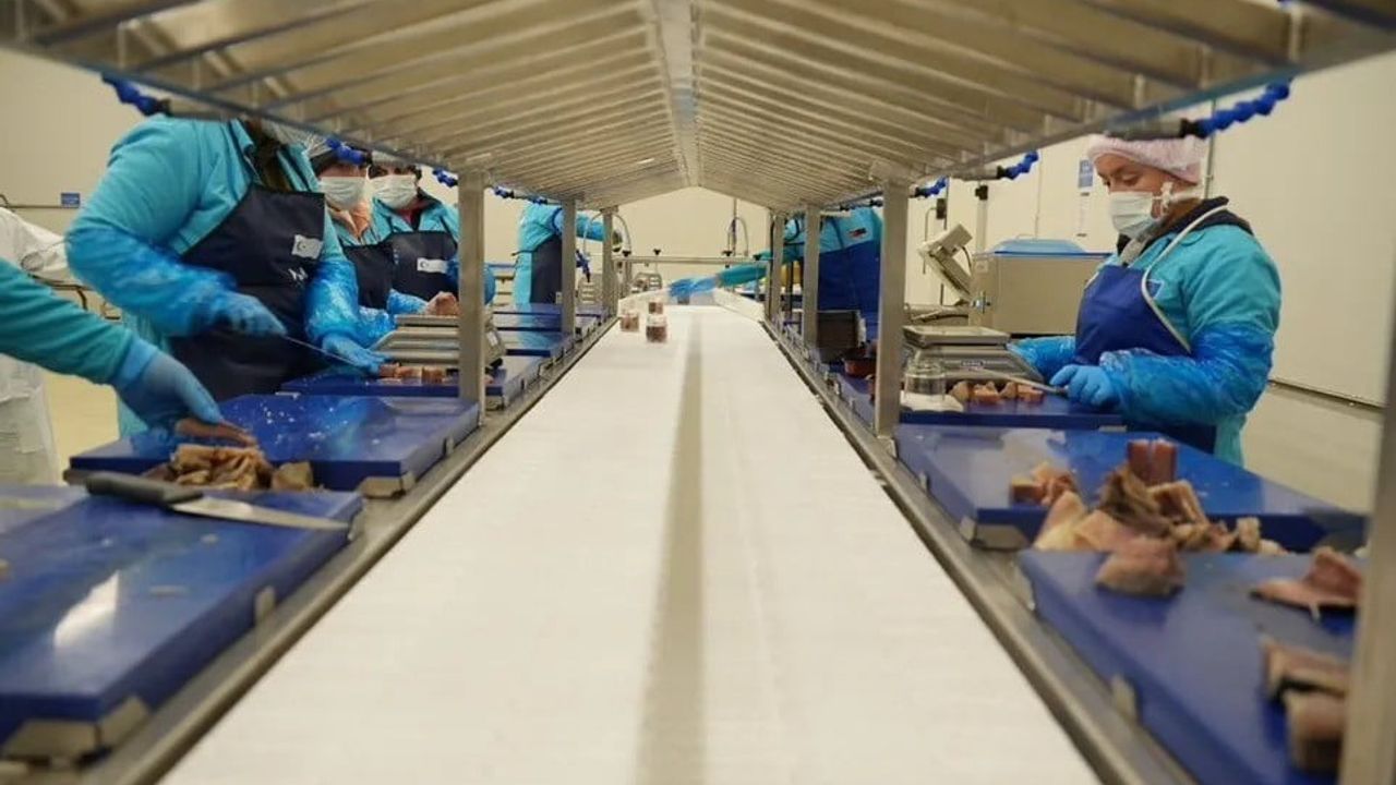 Sinop 2025'te su ürünleri ve hayvansal ürün ihracatında artış kaydetti