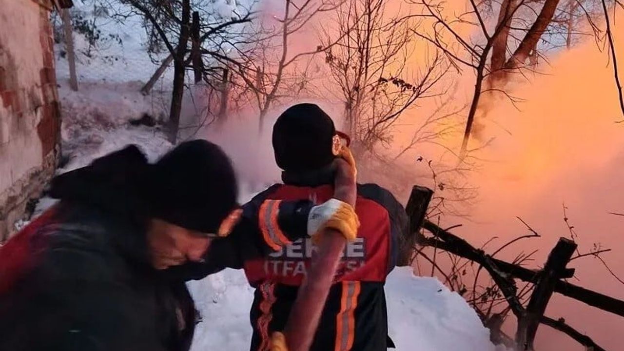 Sinop Gerze'de ahır yangını: 9 büyükbaş hayvan telef oldu