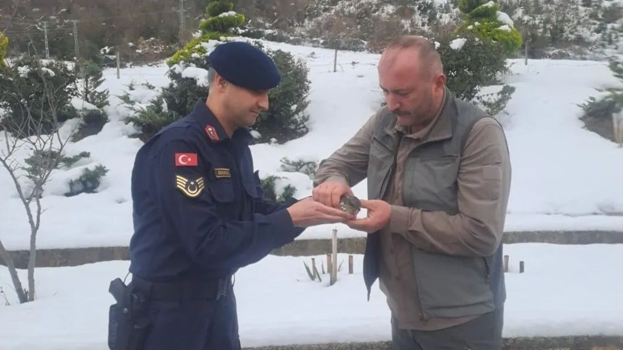 Sinop'ta jandarma yaralı kuşu Doğa Koruma ekiplerine teslim etti