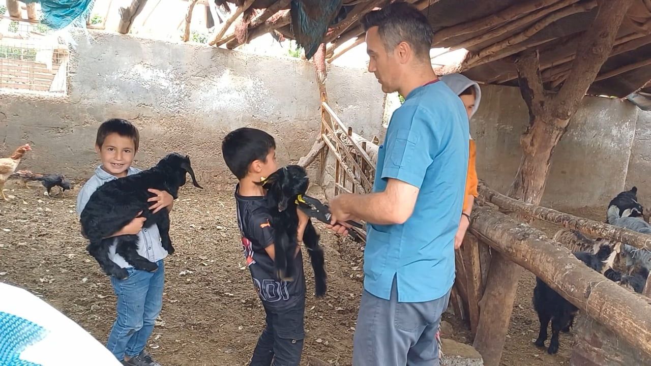 Şırnak'ta 2025'te hayvancılık güçlendirildi: Aşılama, kayıt ve 136 milyon 554 bin lira destekleme