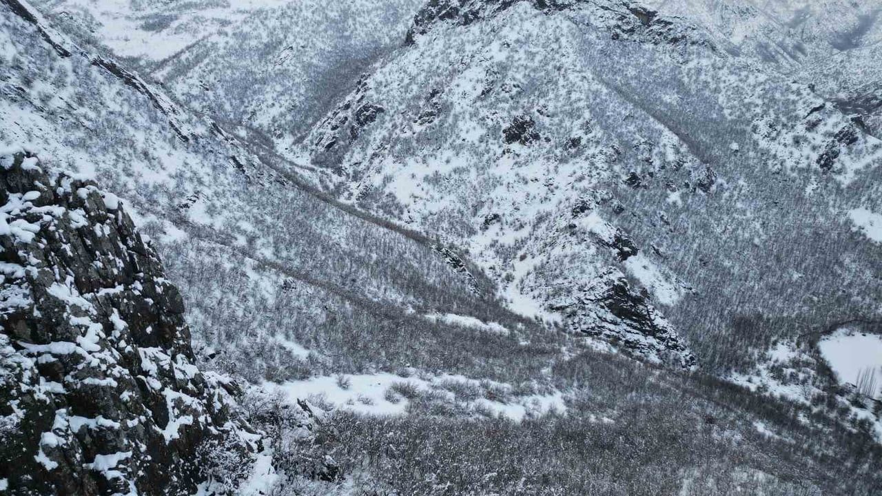 Şırnak'ta Beytüşşebap Mutluca'daki Bal (Meşe) Ormanları Karla Kaplandı