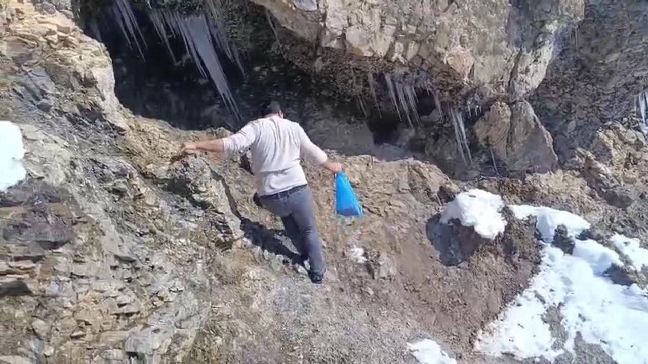 Şırnak’ta gönüllü gençler keklikler için karla kaplı alanlara yem bıraktı