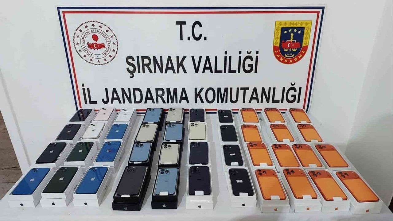 Şırnak’ta Jandarma 21 milyon 675 bin değerinde kaçak ürün ele geçirdi; çok sayıda gözaltı