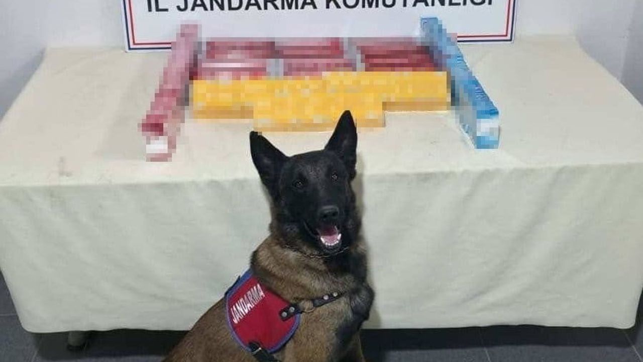 Şırnak’ta Jandarma Geniş Çaplı Kaçakçılık Operasyonu: 117 Şüpheli ve Milyonluk Malzeme Ele Geçirildi