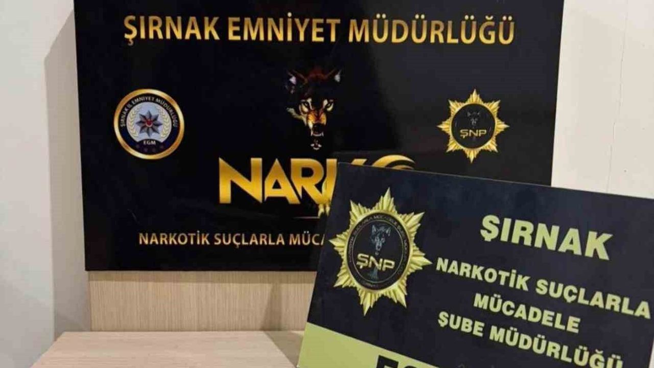 Şırnak’ta narkotik ve kaçakçılık operasyonu: 29 gözaltı, 3 tutuklama