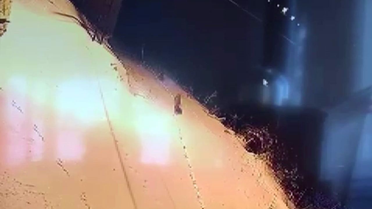 Sivas'ın Gürün ilçesinde aç kalan kurt sürüsü yerleşime indi