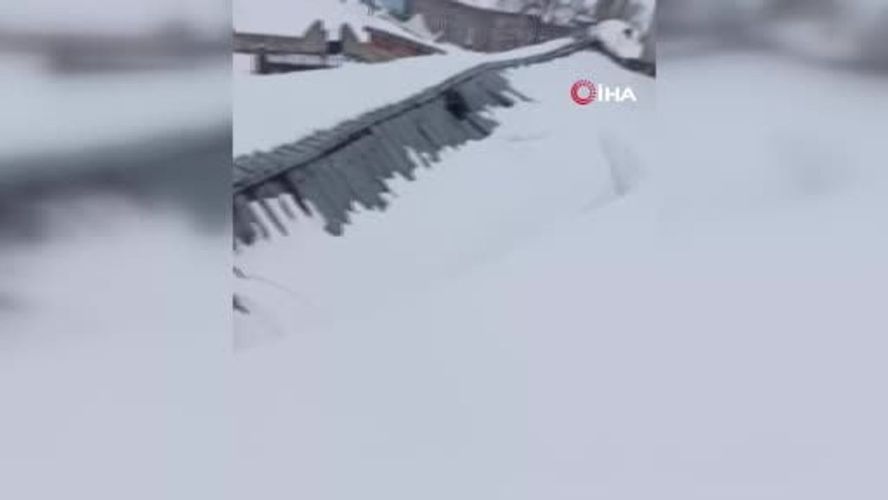 Sivas'ta ahır çatısı kar yüküne dayanamayarak çöktü, inekler komşular tarafından kurtarıldı