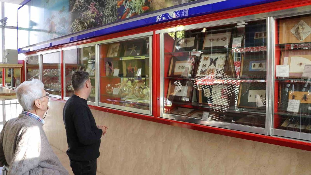 Sivas'ta Ertuğrul Bostancı, Atatürk Anadolu Lisesi'ni biyoloji müzesine dönüştürdü