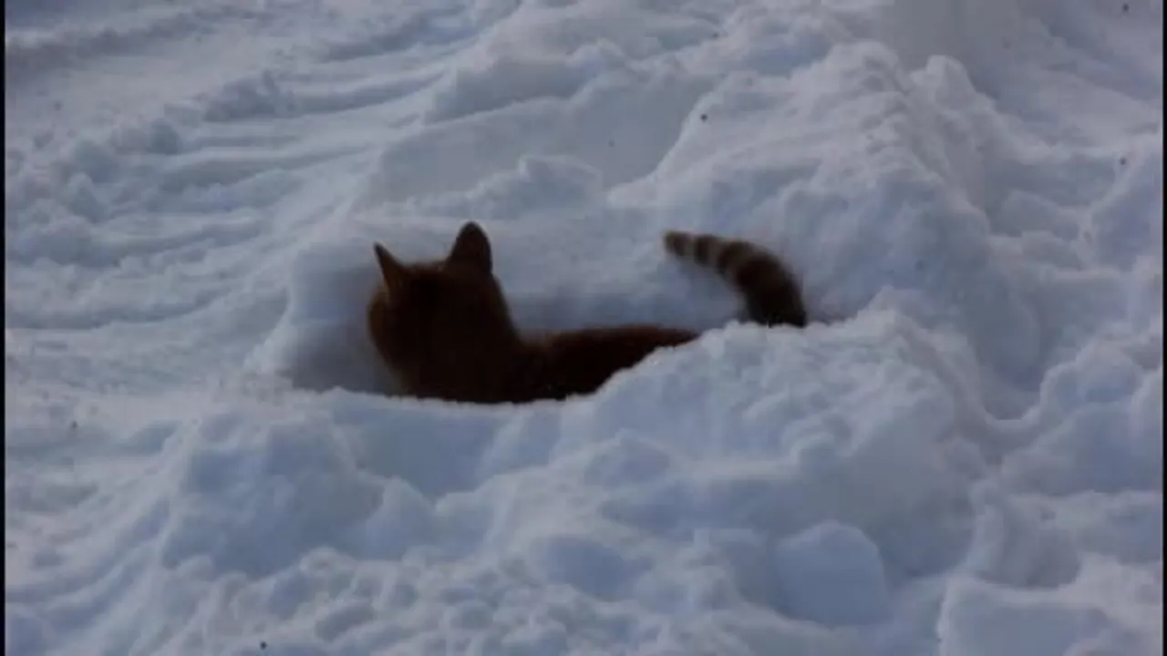 Sivas’ta Kızılırmak’ın Bazı Bölümleri Kısmen Dondu — Termometreler -21°C'yi Gösterdi
