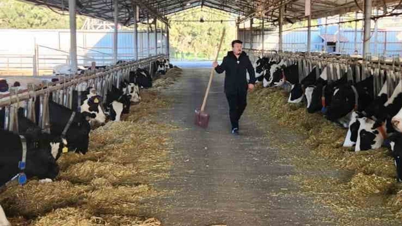 Söke TAYEM'de tüberküloz ve brucella taraması yapıldı