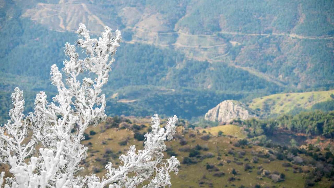 Spil Dağı'nda kar yok; kırağı ve buzlanma beyaz örtü oluşturdu