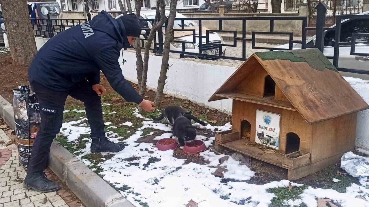 Taşköprü Belediyesi'nden Kış Boyunca Sokak Hayvanlarına Düzenli Yem Desteği