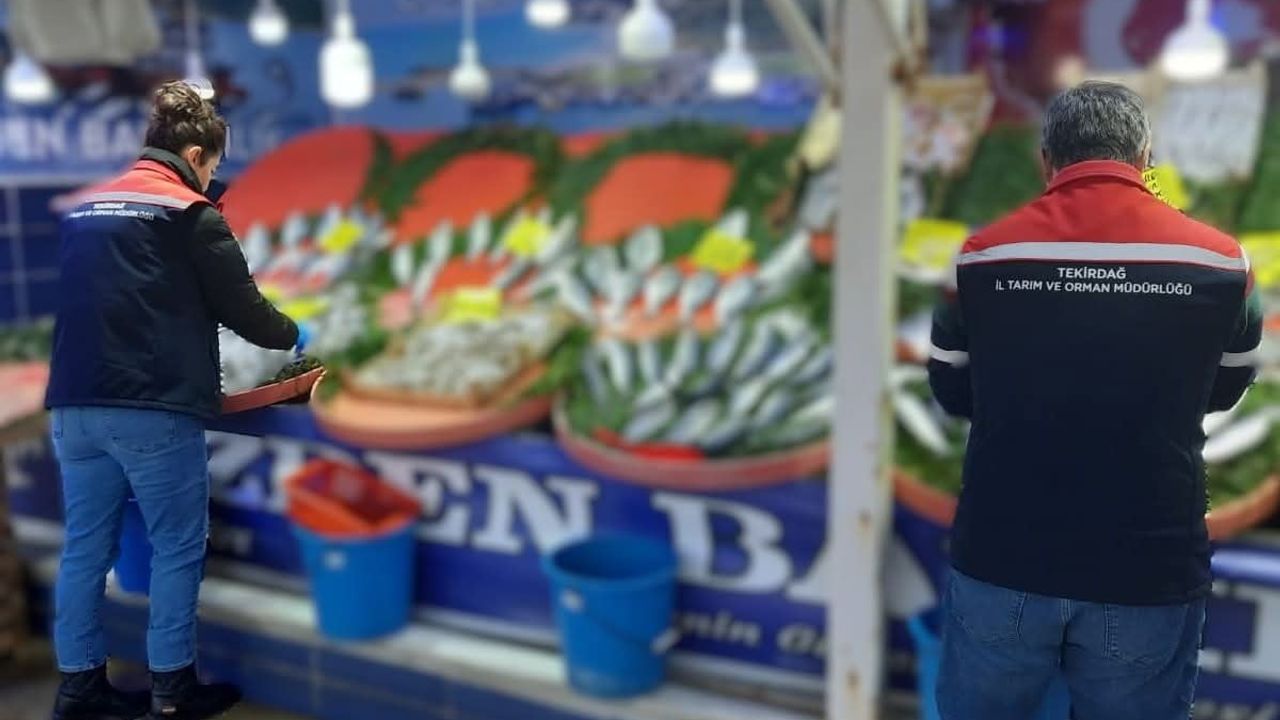 Tekirdağ'da su ürünleri denetimleri: Koruma ve yasa dışı avcılıkla mücadele sürüyor