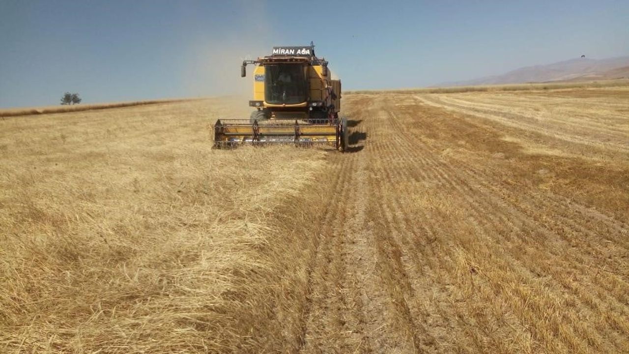 TMO'dan Bayburt'ta Besicilere Yemlik Arpa Satışı — Başvurular 12 Ocak 2026'ya Kadar