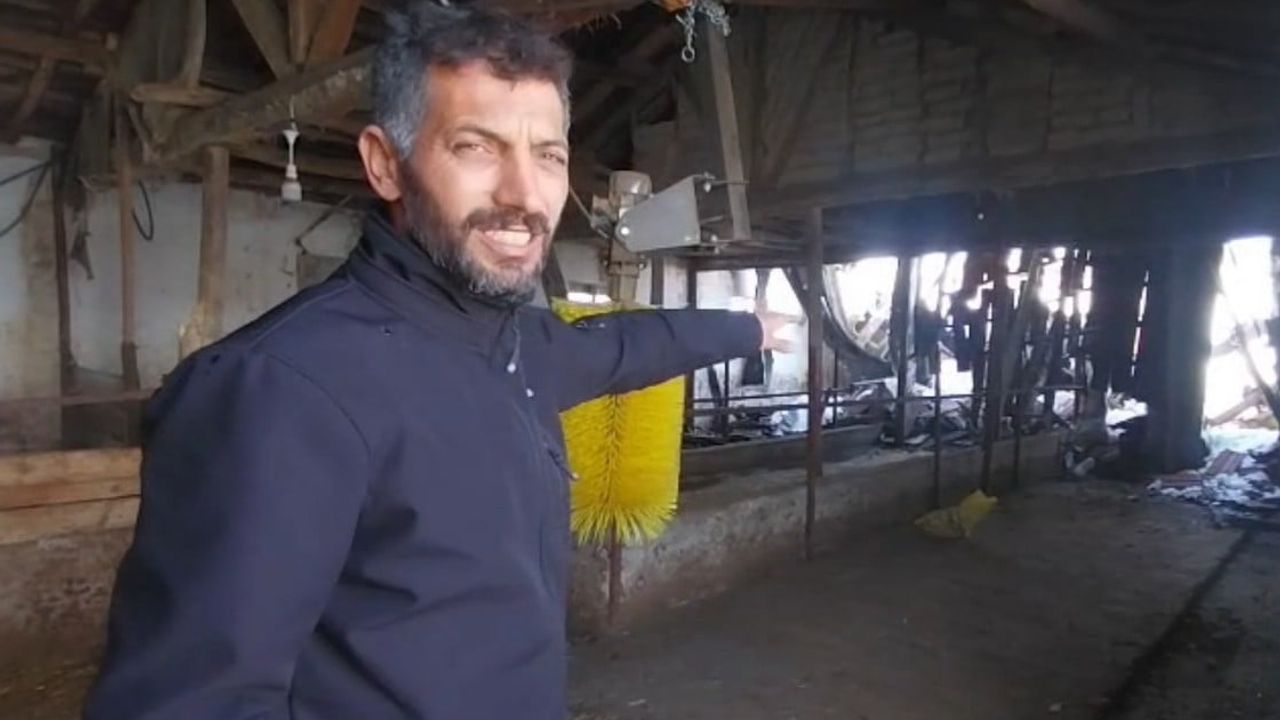 Tokat Sulusaray'da yoğun kar nedeniyle ahır çatısı çöktü