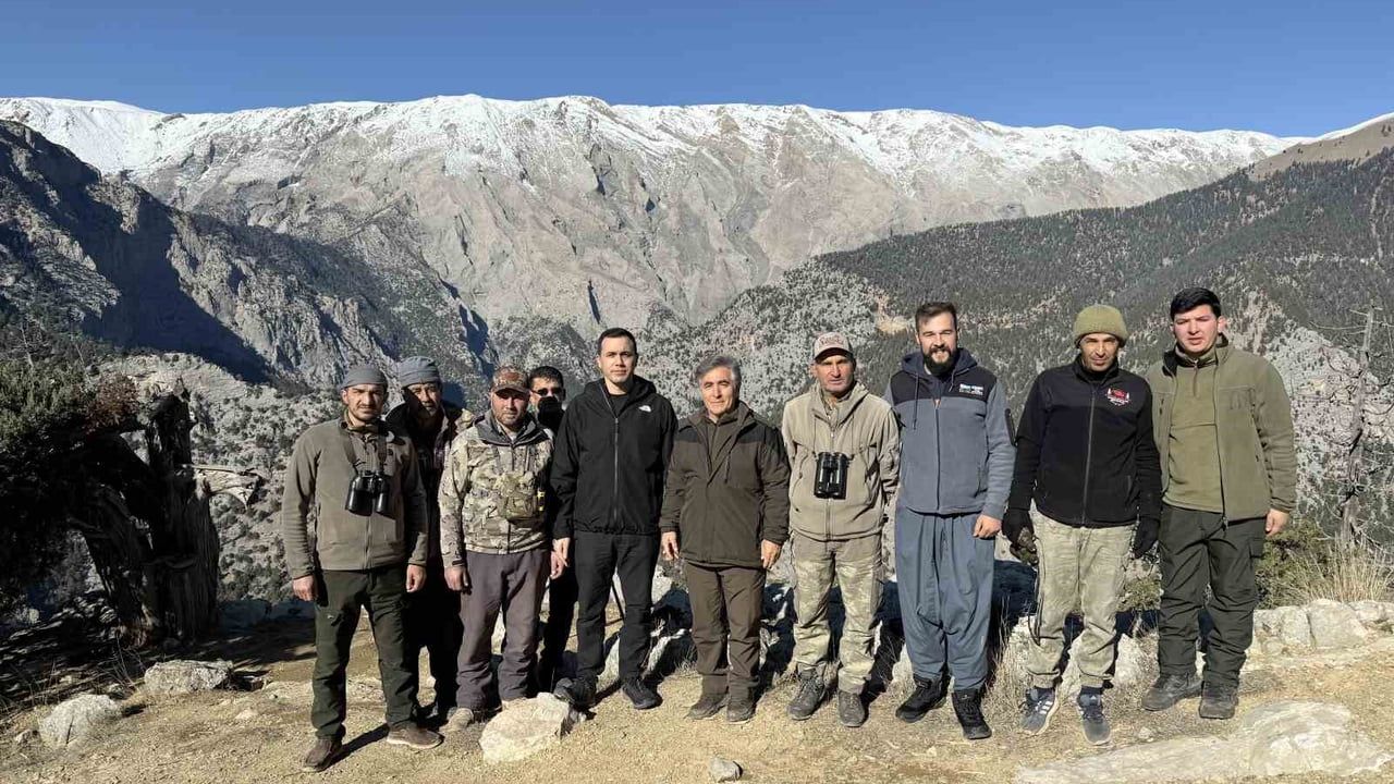 Toroslar'daki Yaban Keçileri Çamlıyayla'da Günlük Takip Altında