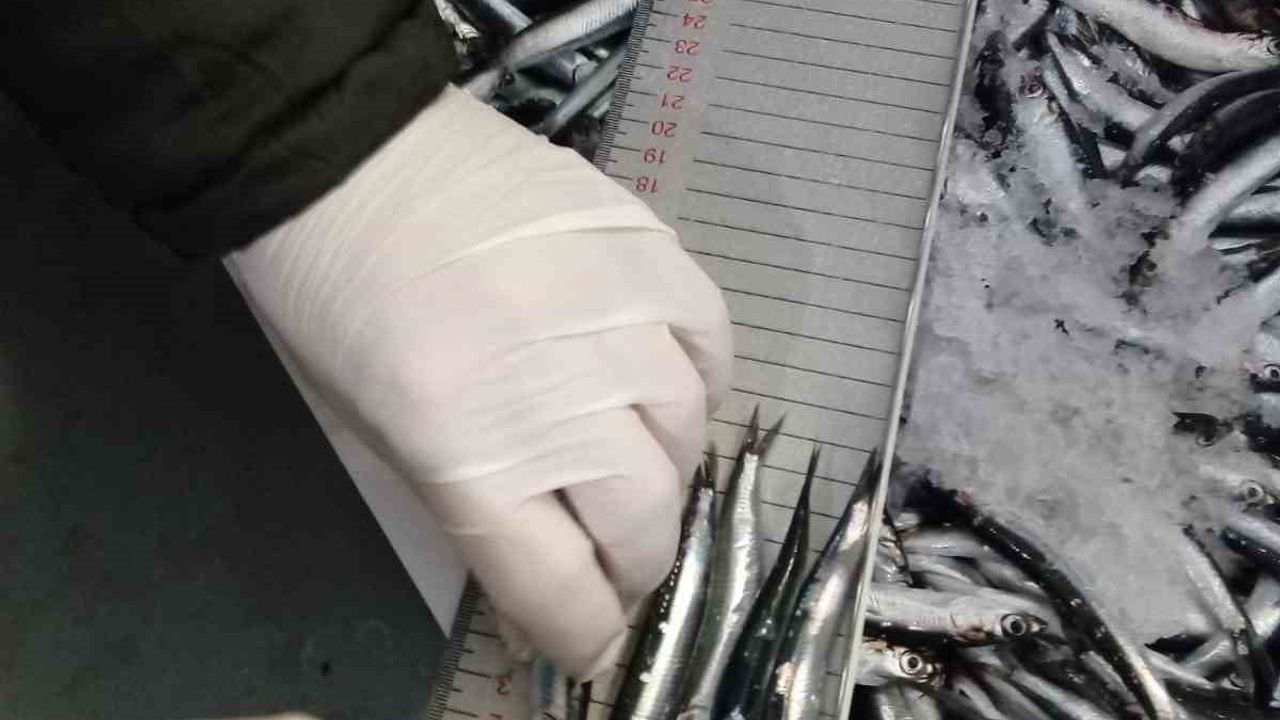 Trabzon'da 2025 su ürünleri denetimleri: 43 kişiye 3.209.276 TL idari para cezası