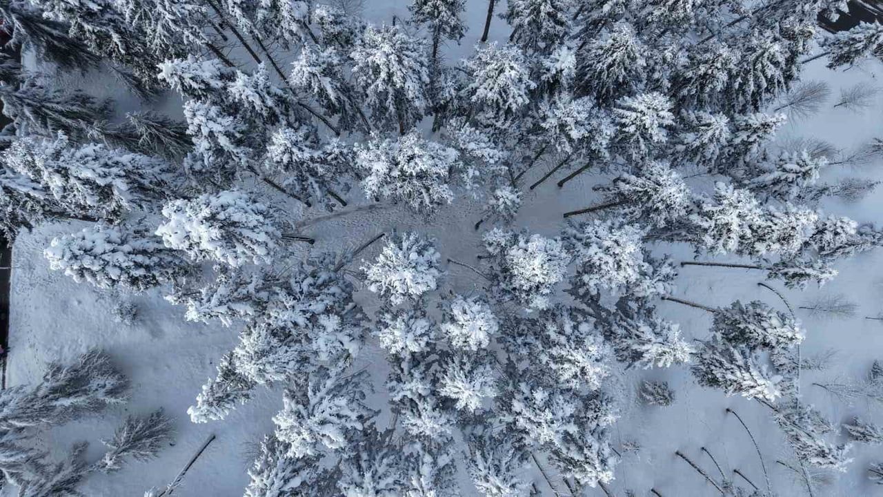 Trabzon'da Mevsimin İlk Karı: 286 Mahalle Yolu Kapandı, Okullara Ara Verildi