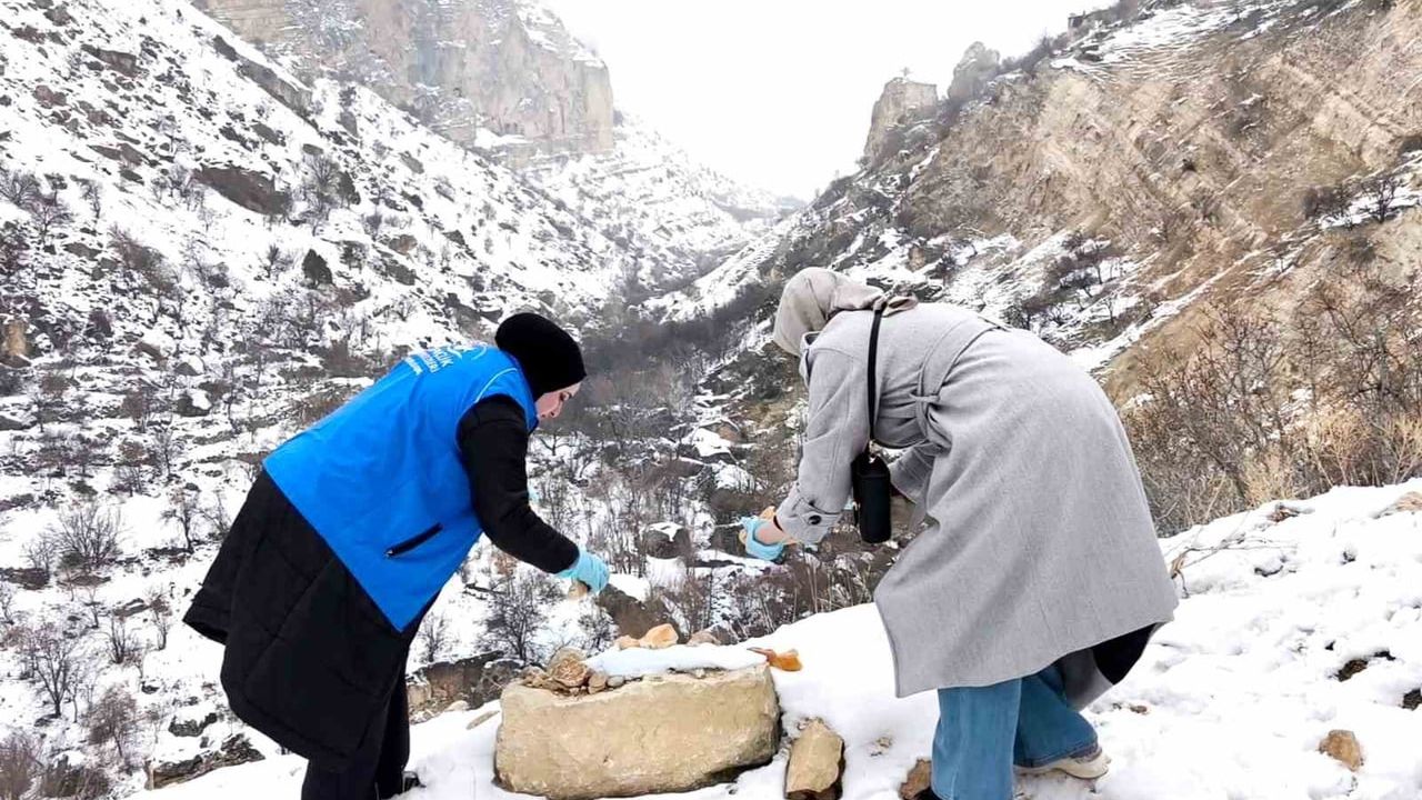 Tunceli Çemişgezek'te gençler, kar şartlarında yaban hayvanları için yem bıraktı
