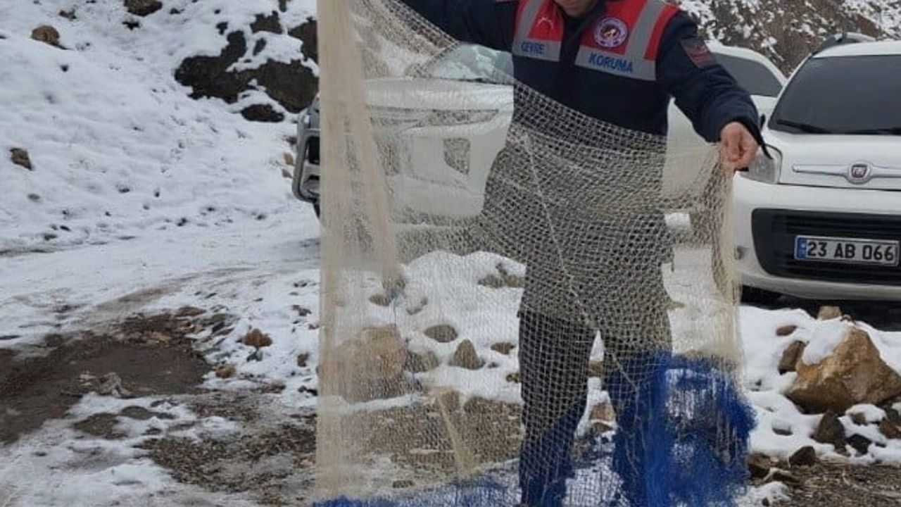 Tunceli'de jandarma operasyonları: Kaçak avcılığa ceza, terör şüphelisi tutuklandı