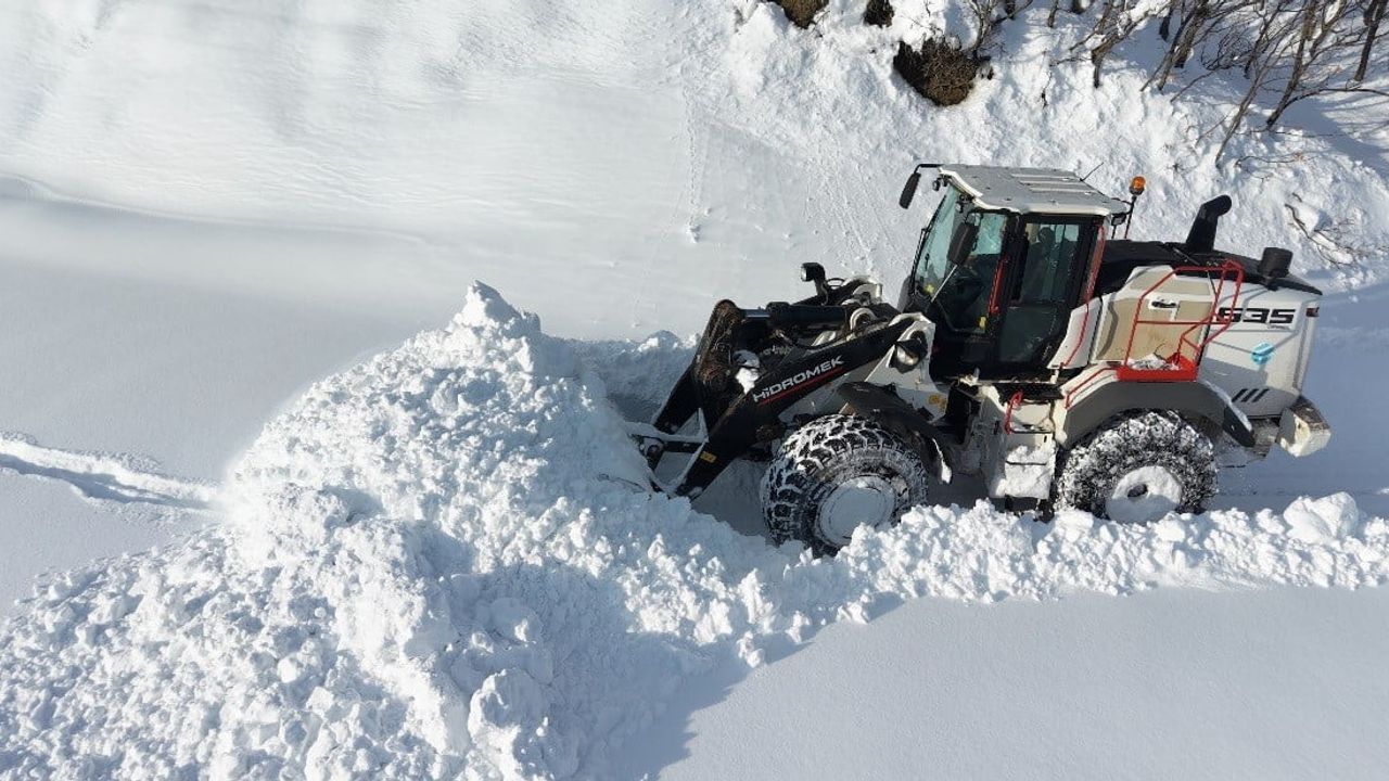 Tunceli'de kar yağışı 178 köy yolunu ulaşıma kapattı