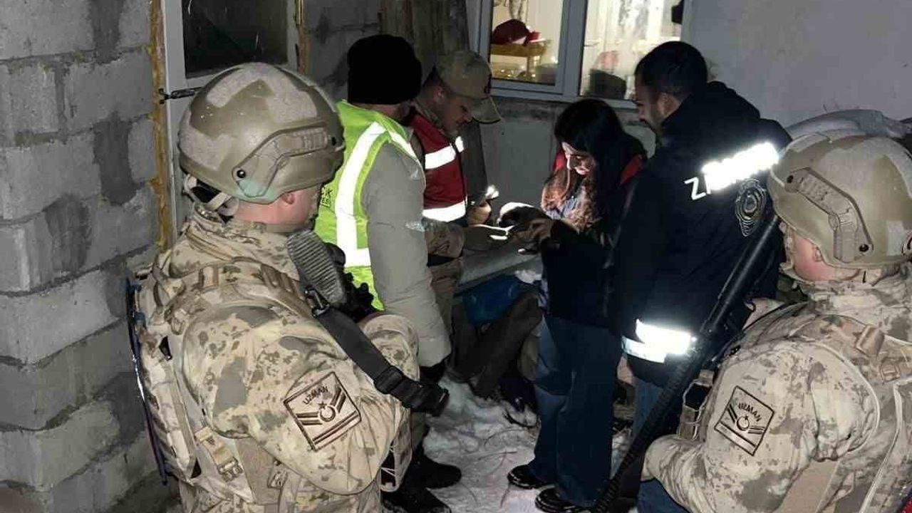 Tunceli Ovacık’ta yavru köpeğe eziyet iddiası: Şüpheli D.C.V. tutuklandı, köpekler koruma altına alındı