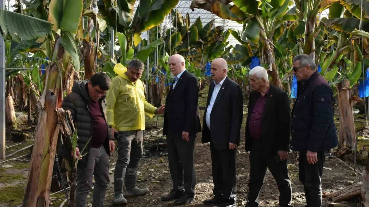 TZOB Başkanı Bayraktar: Manavgat hortumu 390 dönüm serada ve birçok üründe ciddi hasar bıraktı