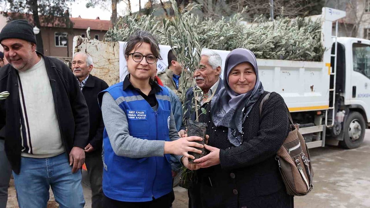 Ula'da üreticiye zeytin ve ceviz fidanı desteği — 'Her Kapıda Bir Fidan' ile 159 bin fidan dağıtıldı