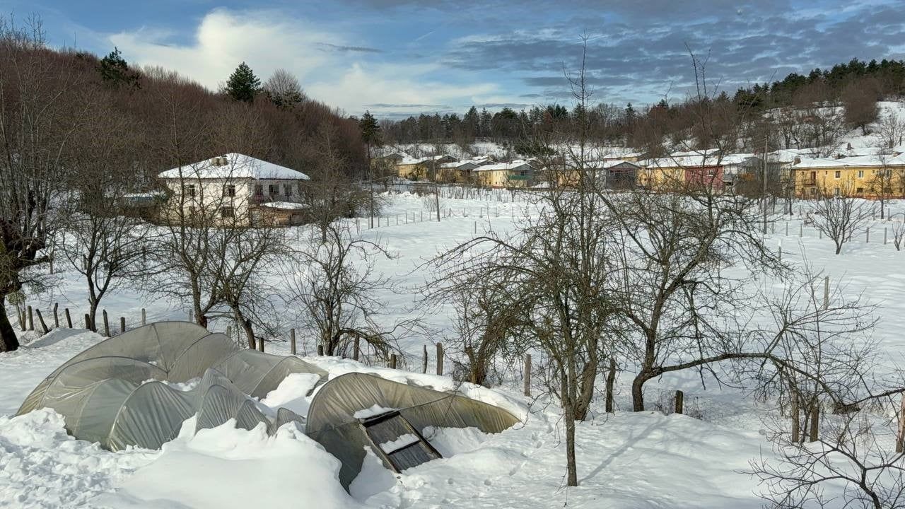 Ulus'ta yoğun kar yağışı iki serayı çökertti; üretici yardım bekliyor