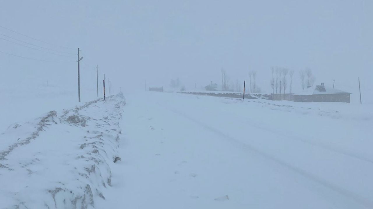 Van-Çatak kara yolu kar, tipi ve sis nedeniyle yeniden ulaşıma kapatıldı