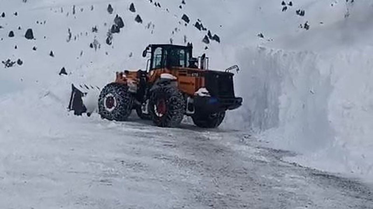 Van Çatak'ta 24 saatte 6 ayrı noktaya çığ düştü