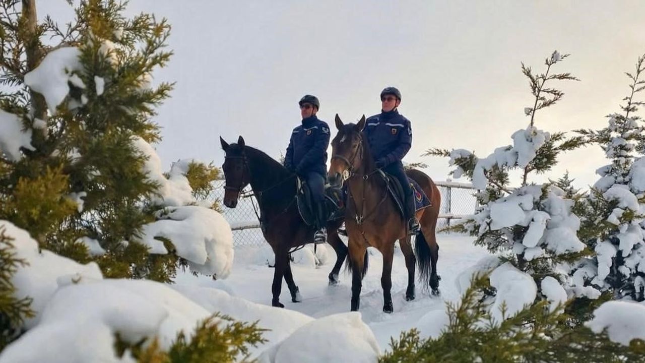 Van'da Atlı Jandarma Kış Nöbetinde: Karla Kaplı Alanlarda Güvenlik Sürdürülüyor