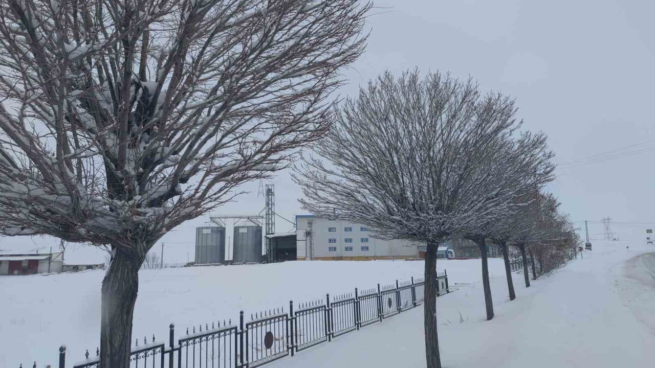 Van'da Sibirya kaynaklı soğuk hava günlük yaşamı olumsuz etkiliyor