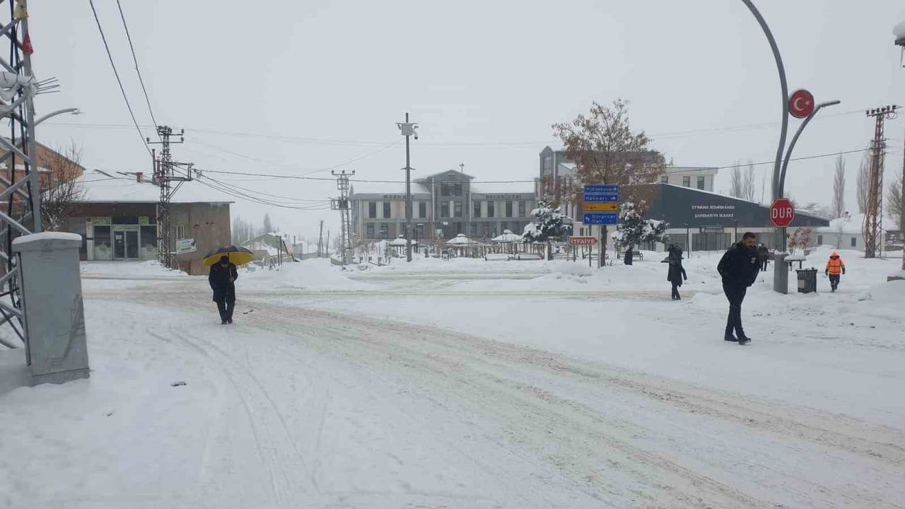 Van'ın Başkale ilçesinde kar yağışı yaşamı olumsuz etkiledi