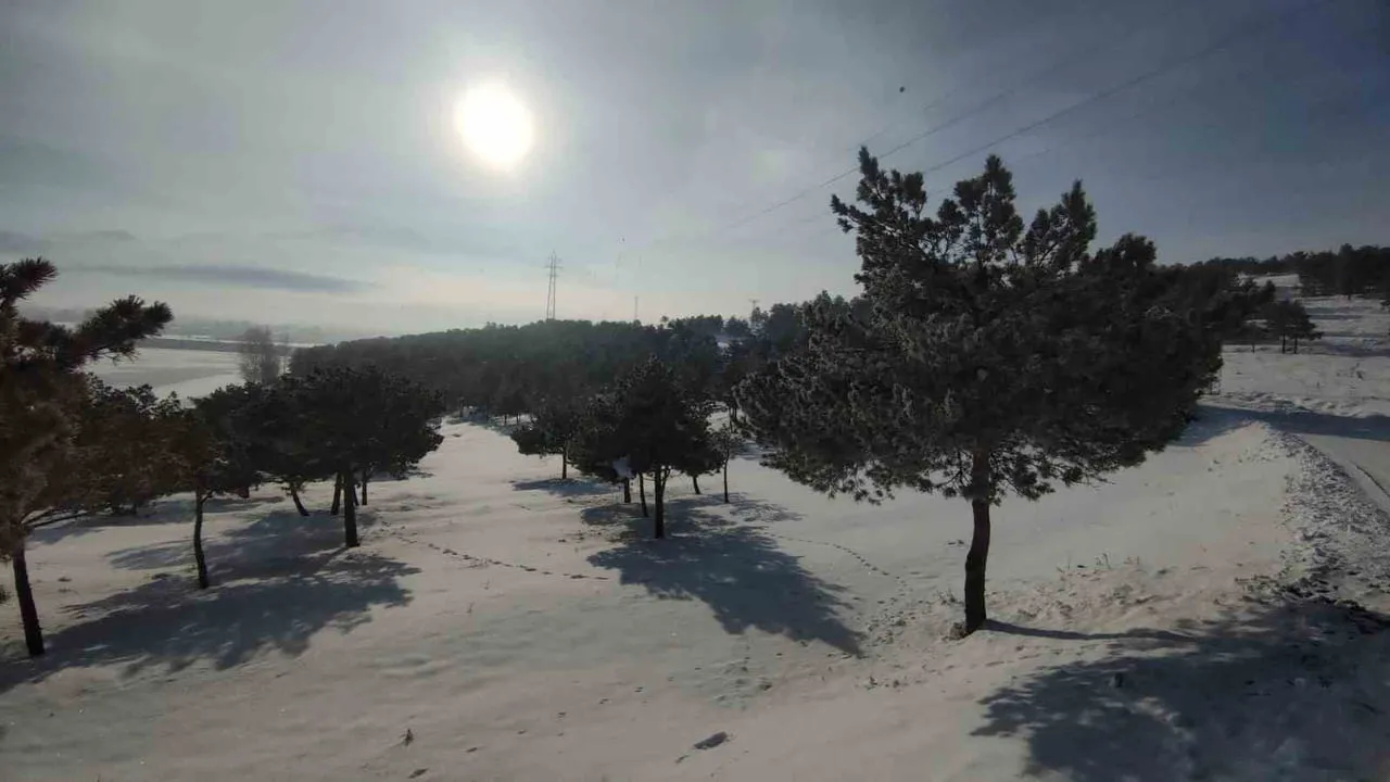 Van-Özalp kara yolunda yoğun sis görüş mesafesini 30 metreye düşürdü