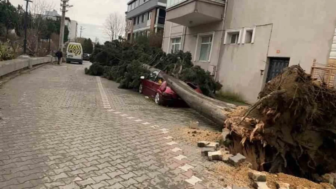 Yalova’da fırtına yaşamı olumsuz etkiledi: çatılar ve ağaçlar zarar gördü, tersanelerde konteynerler havalandı