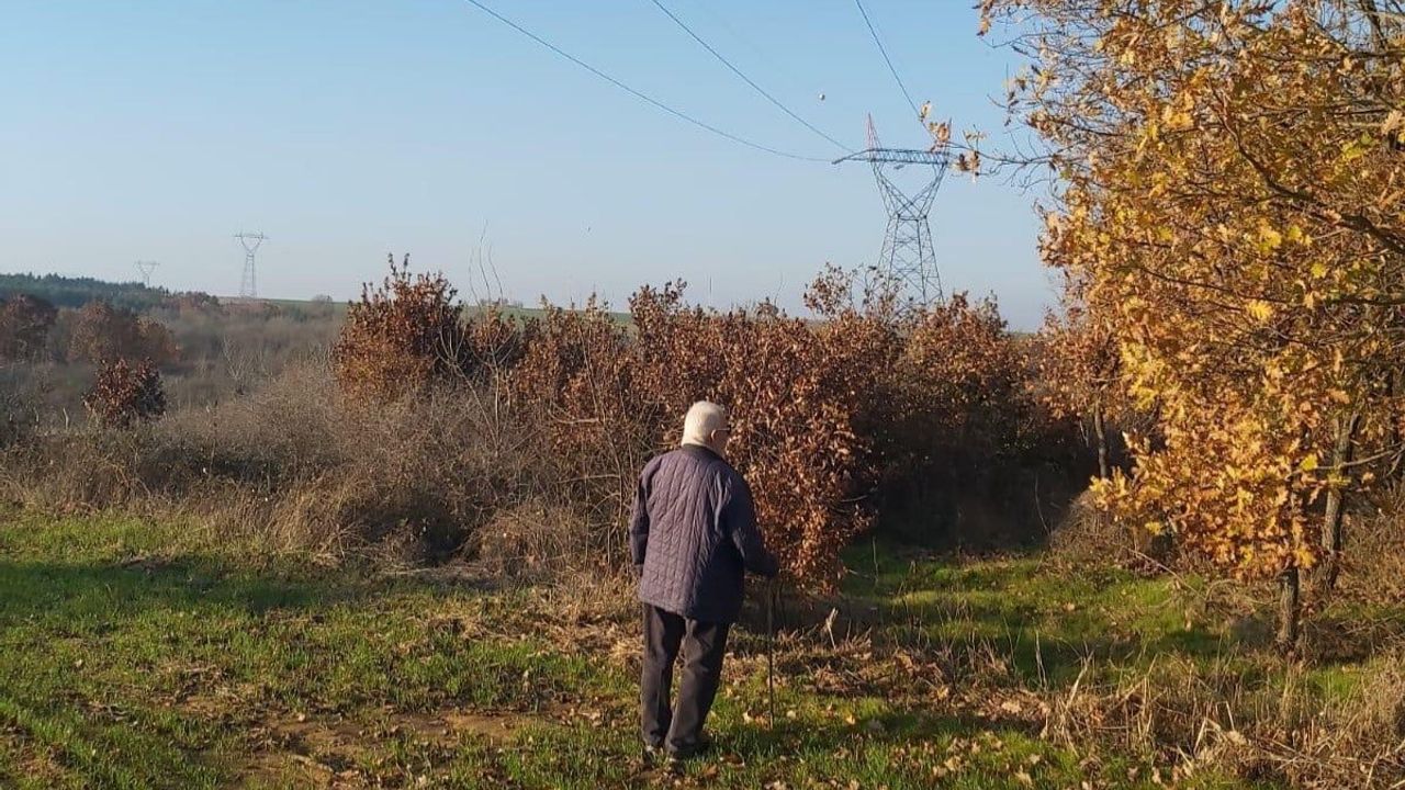 Yargıtay’dan emsal karar: Kamulaştırma bedeline kamu alacaklarında uygulanan en yüksek faiz uygulanmalı