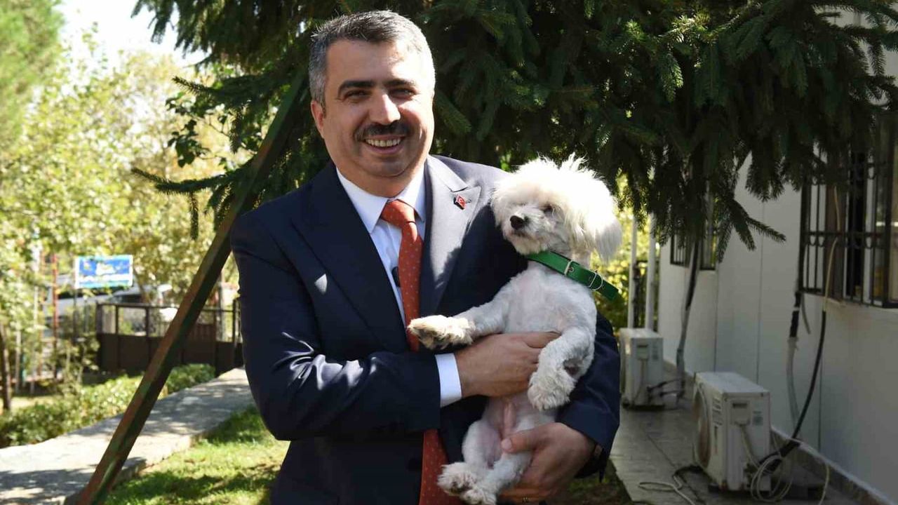 Yıldırım Belediyesi'nden sokak hayvanlarına 100 kedi evi ve beslenme desteği