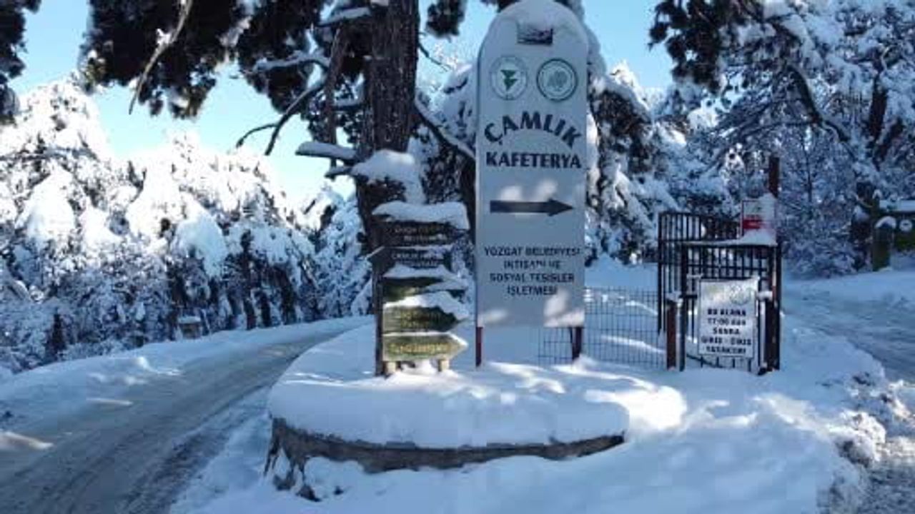 Yozgat Çamlığı Milli Parkı karla örtülürken havadan görüntülendi