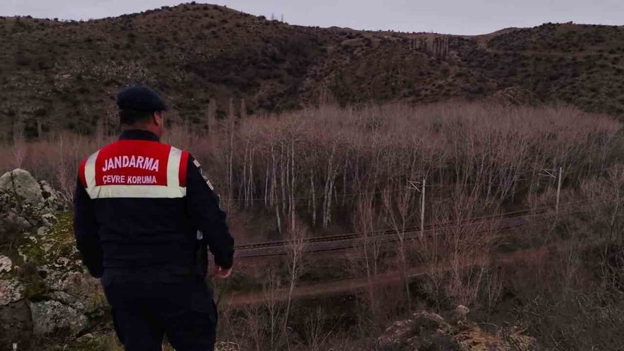 Yozgat Jandarması, yaban hayvanları için yem bıraktı; Karanlıkdere'de akarsu ve av denetimi yapıldı