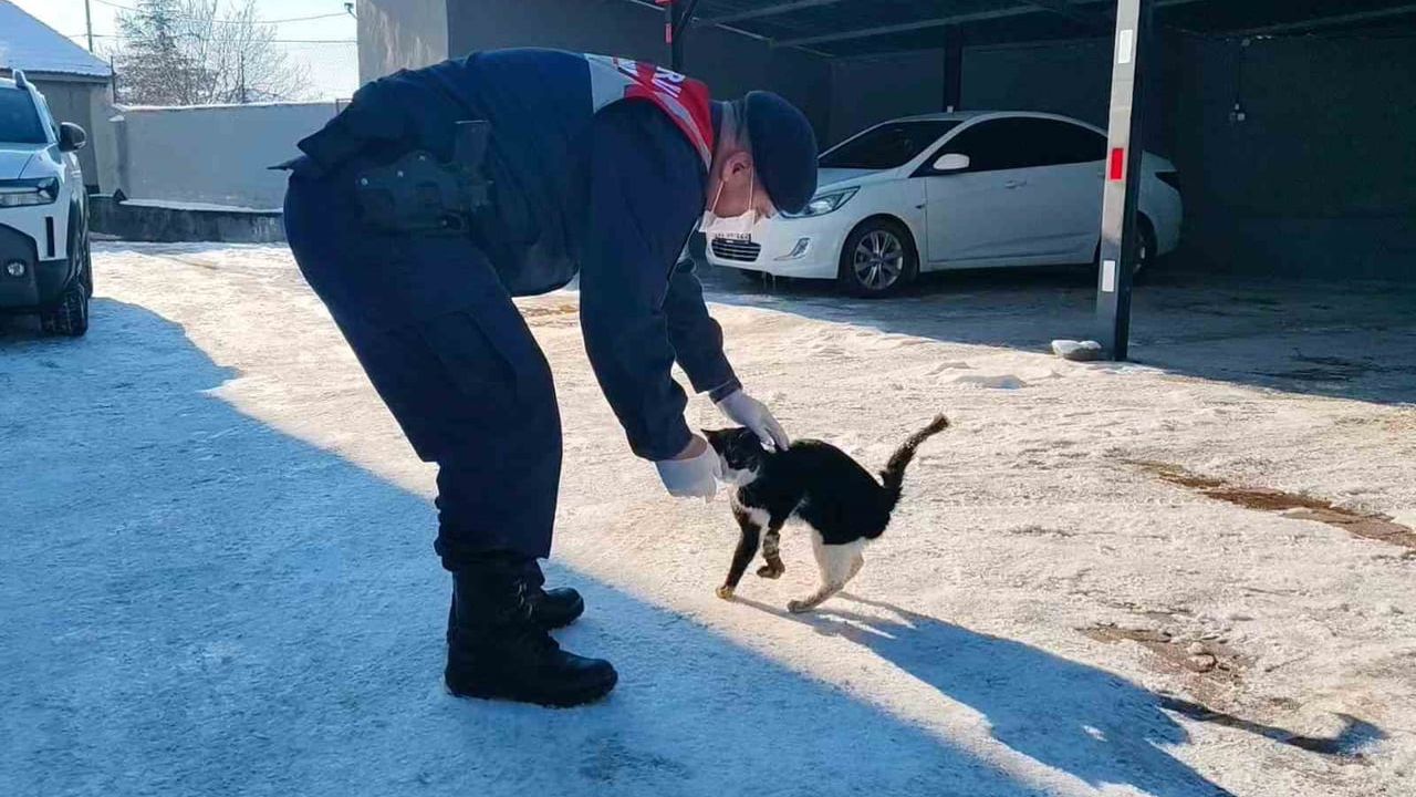 Yozgat’ta motor içine sıkışan kedi HAYDİ ekipleri tarafından kurtarıldı