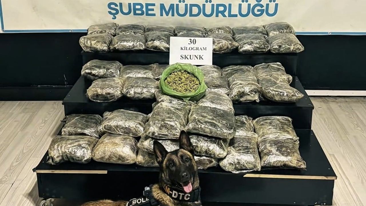Yüksekova'da 30 kilogram Skunk ele geçirildi: 2 şüpheli gözaltında