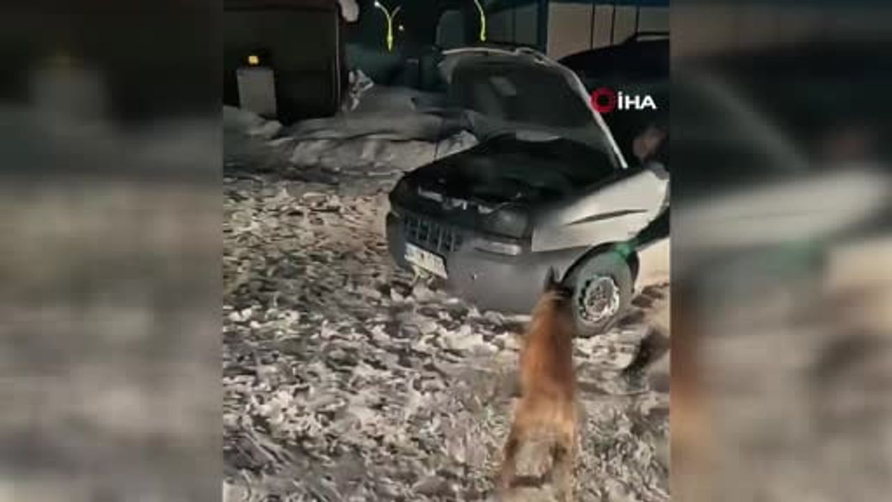 Yüksekova’da hafif ticari kamyonette 30 kilogram Skunk ele geçirildi; 2 şüpheli gözaltında