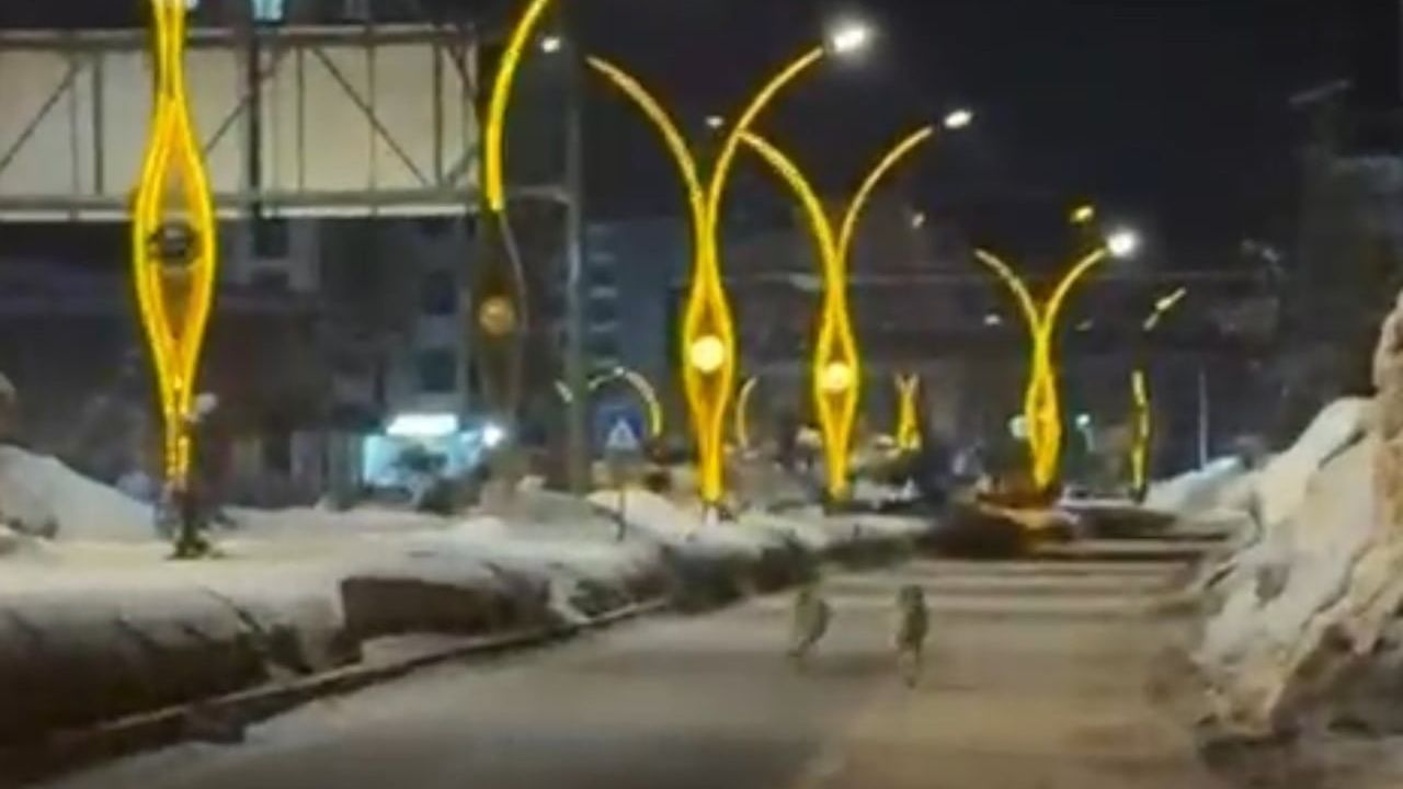 Yüksekova'da kurt sürüsü ilçe merkezine indi
