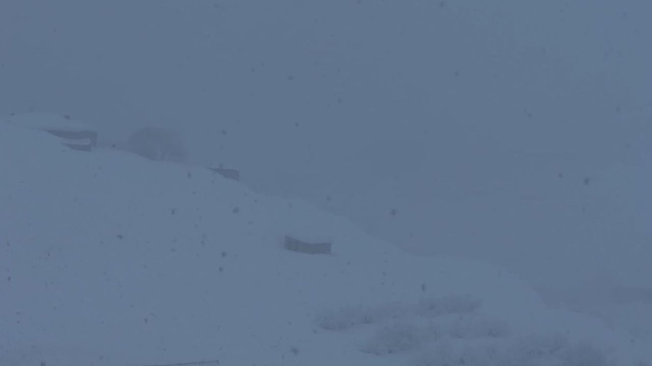 Yüksekova'da yoğun kar ve sis ulaşımı aksattı